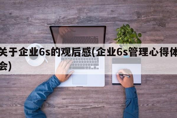 关于企业6s的观后感(企业6s管理心得体会)